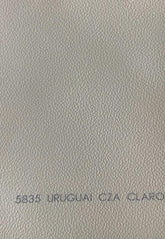Courvin Automotivo Uruguai Cinza Claro 5835